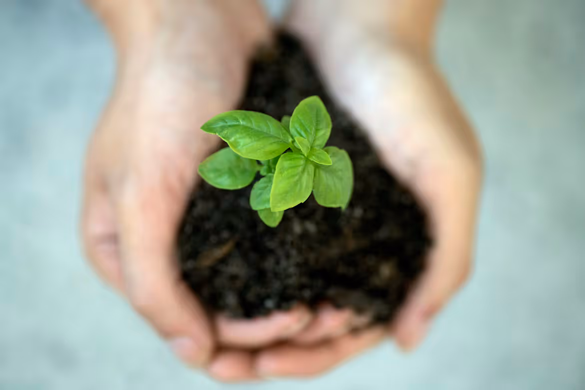 Sustainable Textile Manufacturing